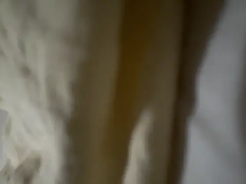 tashaninlife Show Webcam