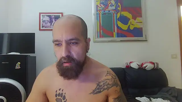 AMIRDIB2025 Live XXX-Chat