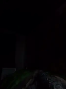 PickoDulce Webcam-Show