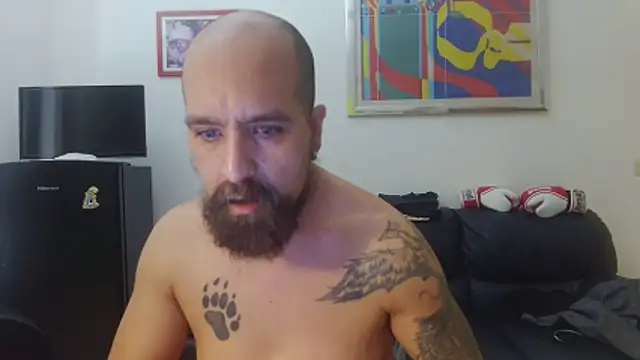 Show modela AMIRDIB2025 na web-kameri