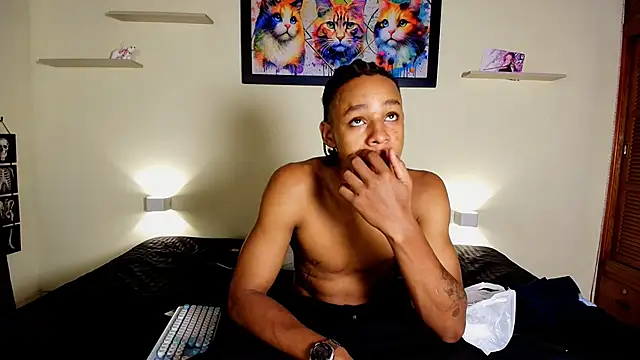 Show modela jordan_mm420 na web-kameri