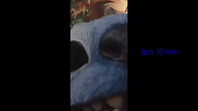 Chat XXX ao vivo de vinkitinkii