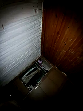 Show de webcam de BimodalMood