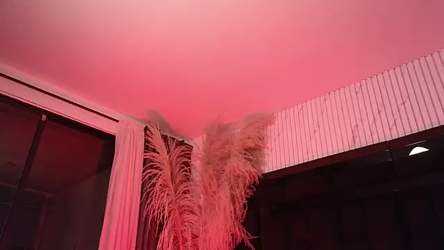 Chatroom XXX en direct de Paulo_527