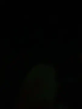 Alexander18_1n Webbikameraesitys
