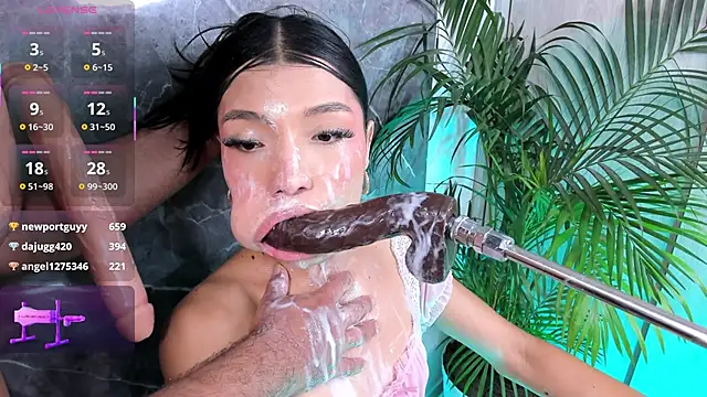 mayfoxx06 라이브 XXX 채팅