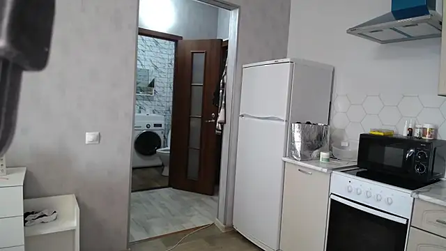 LindyVSAndy Webcam-Show