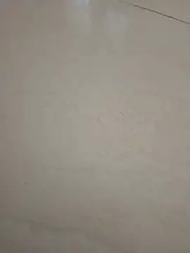 flowersex786's Live XXX Chat