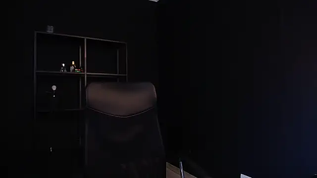 FelixStarkk 即時 XXX 聊天