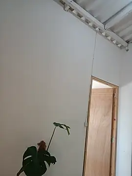 Chat XXX en directo de karenarango