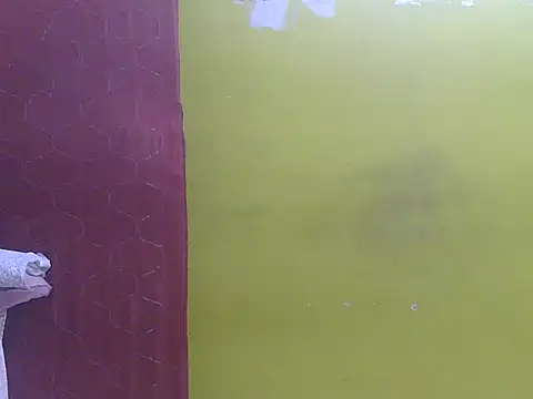 Chat XXX en directo de Stubborndesiboy