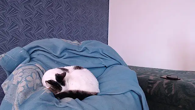 Živý XXX chat Freyja_eter