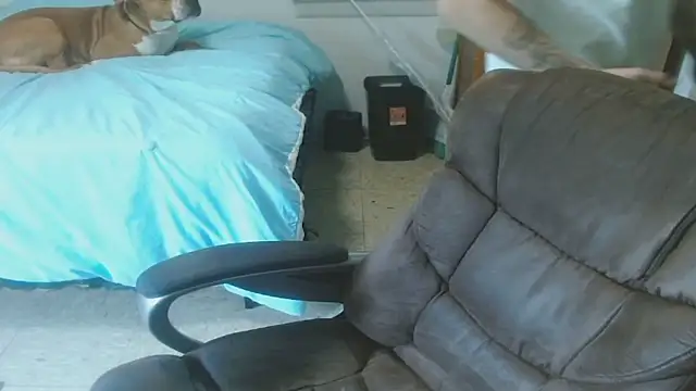 Show webcam de DADDY_KANE8---