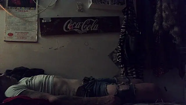 Show Webcam de VanillaSnowcones