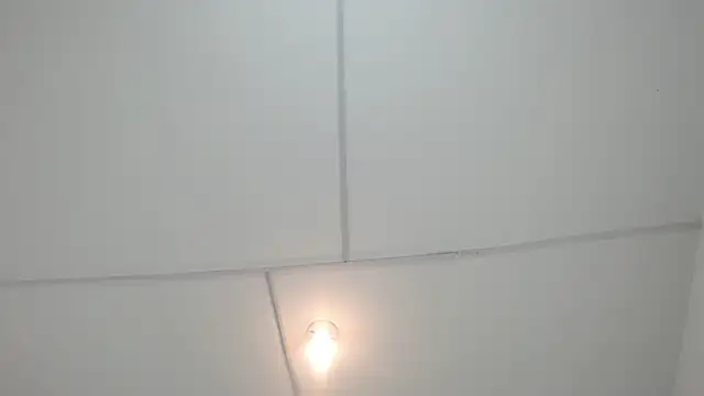 PhillipCox's Live XXX Chat