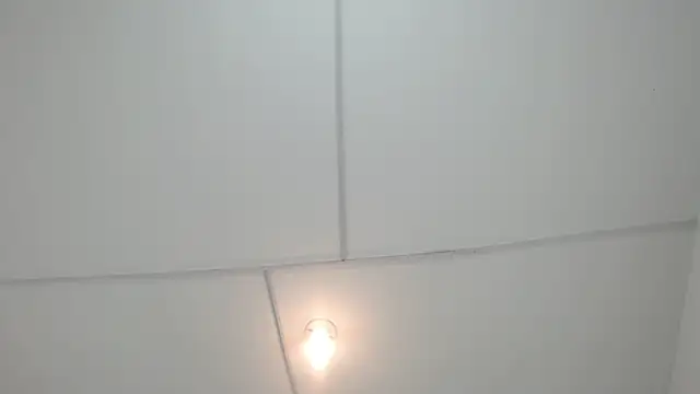 PhillipCox's Live XXX Chat