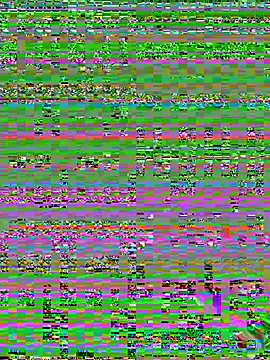 Czat XXX na żywo – the_master_foal_