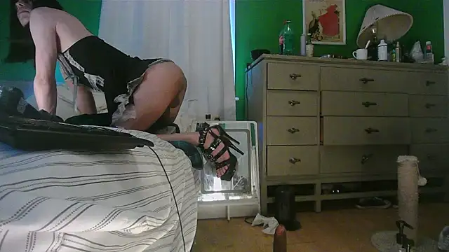 Chat XXX en directo de SadCatDaddy