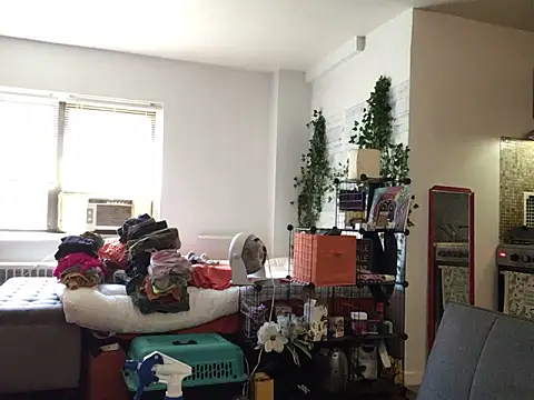 littyleesh1 라이브 XXX 채팅