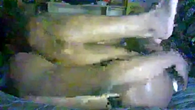_P3RKY_IMMORTAL3_FIR3_ Webcam Show