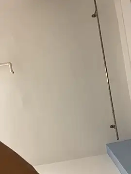 Mr_iphone11 网络视讯表演