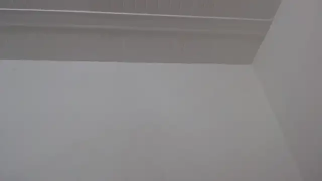 ElizabethMilern Live XXX chat