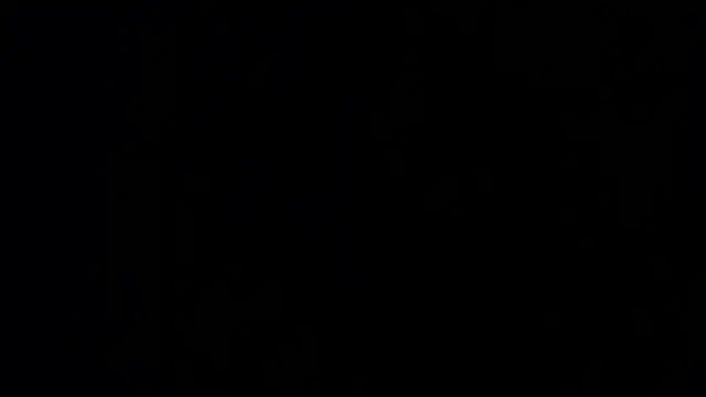 הופעת וובקאם של Damian64420