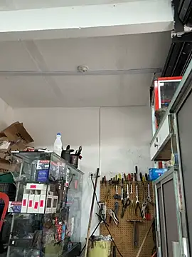 Chat +18 de Paul22cm- ao vivo
