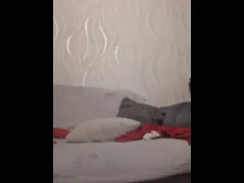 djonizm1 webkamerás műsora