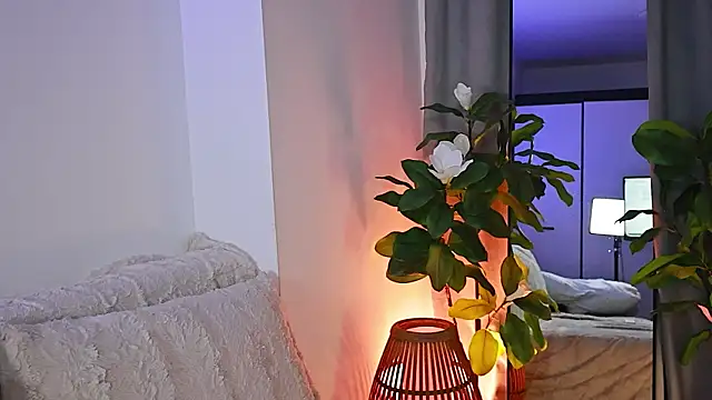 divetagrace 라이브 XXX 채팅