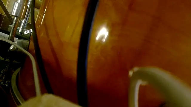 Taylorsexbot Webcam-Show