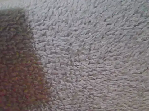 queen-Nova's Live XXX Chat