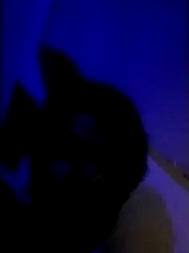 Webkamerová show Malamanhafo