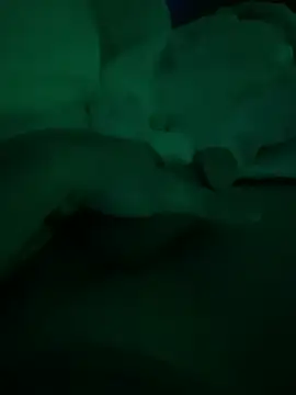 Pertunjukan Kamera Web thehornyboi76