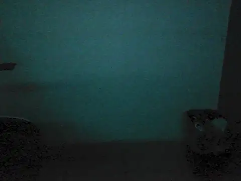 Kalel17073 – webcam-show