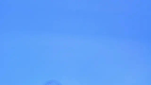 rousemonroe Live XXX-Chat
