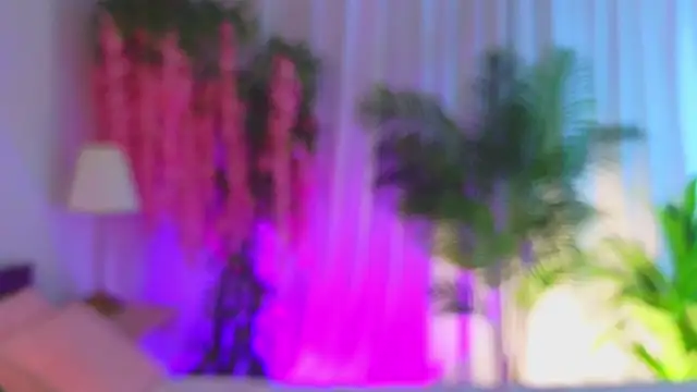 EvaHair 即時 XXX 聊天