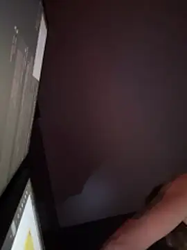Ragnarrodbrokn Webbikameraesitys