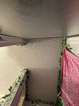 TranSexualJade95 라이브 XXX 채팅
