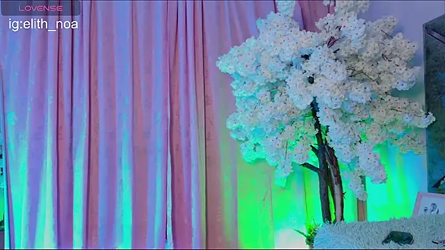 Elith_noa 라이브 XXX 채팅