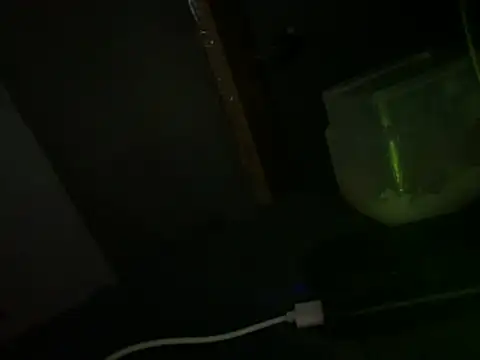 הופעת וובקאם של Ryanandtasha7877