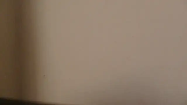 Show Webcam de randombarcelonaguy