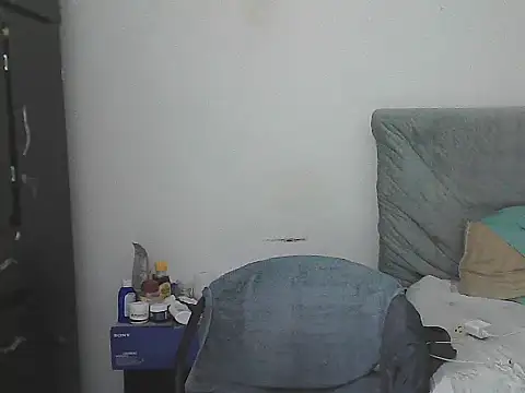 IronSideBear Live XXX-chat