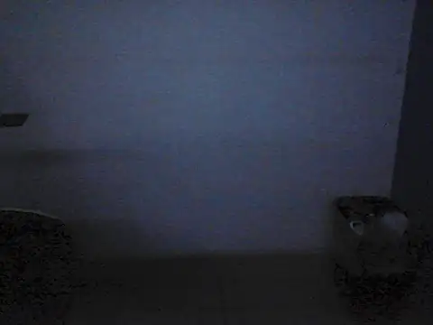 Chat XXX Live Kalel17073