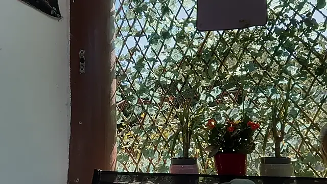 دردشة karo123421 الجنسية المباشرة