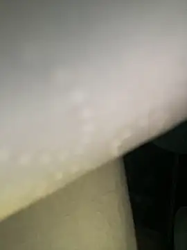 Moisesjrtapia Chat XXX in diretta