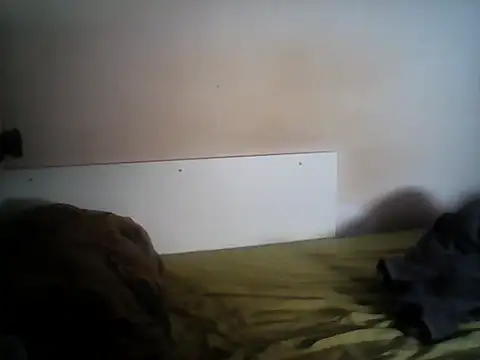 MattedOdobenus' Live XXX Chat
