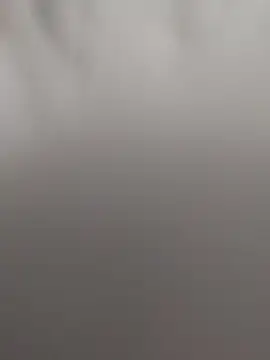 ZairaRoogue's Live XXX Chat