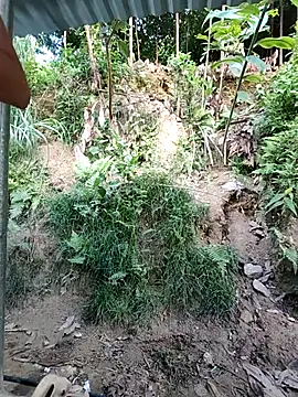 Chat XXX Live WeaklyMop