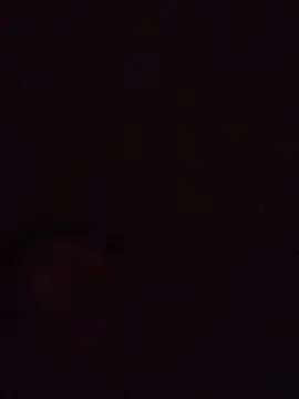 Show webcam de Honestbloom